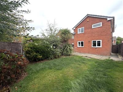 Picture 17